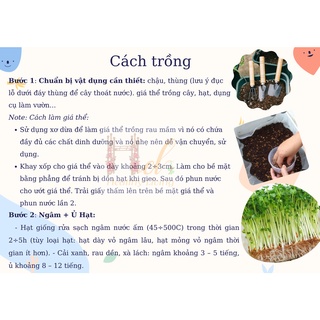 Hạt Giống Rau Mầm Cải Mầm Giàu Dinh Dưỡng - Trồng Hạt Giống Rau Củ Quả Bằng Đất Sạch, Xơ Dừa, Mùn Dừa Và Phân Bón Hữu Cơ