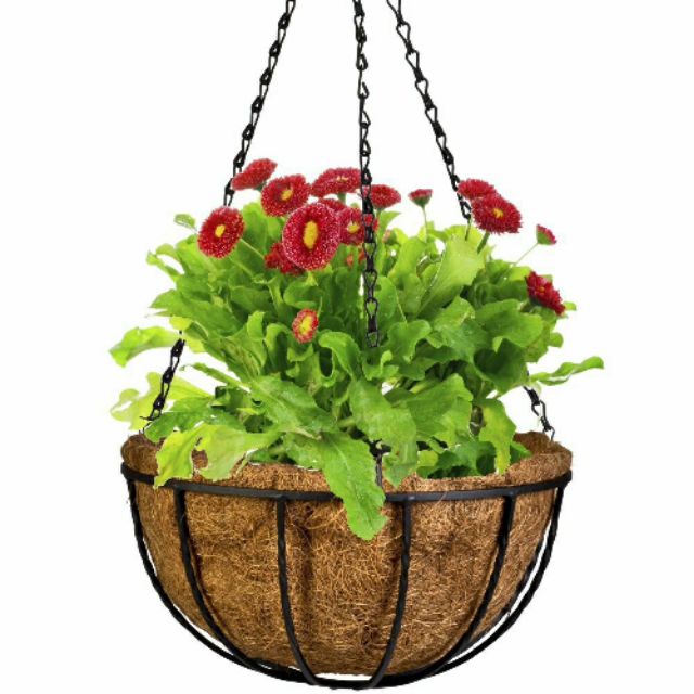 Chậu treo xơ dừa giá rẻ