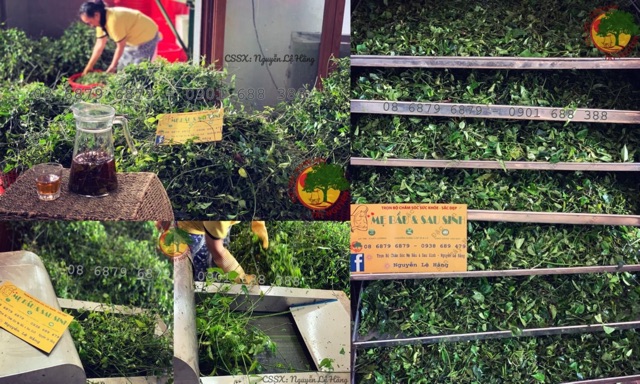 CHÈ VẰNG SẺ KON TUM | BigBuy360 - bigbuy360.vn