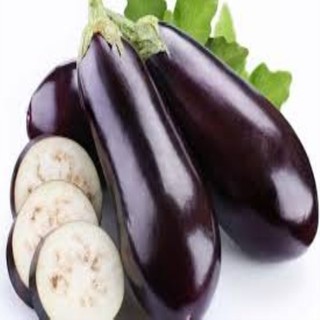 50 hat giống cà tím dài đen