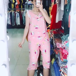 TOLE LỬNG CÁNH TIÊN