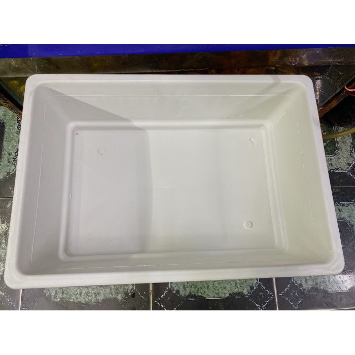 KỆ NHỰA 3 TẦNG NUÔI CÁ BETTA BẢY MÀU CAO 90CM 64X44X20CM