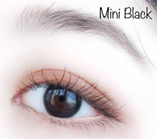 [Kính Áp Tròng] Black Lens