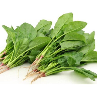 Hạt Giống Rau Chân Vịt ( Cải Bó Xôi , Bina )