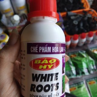 WHITE ROOT - SIÊU KÍCH RỄ BÁO HỶ 100ml