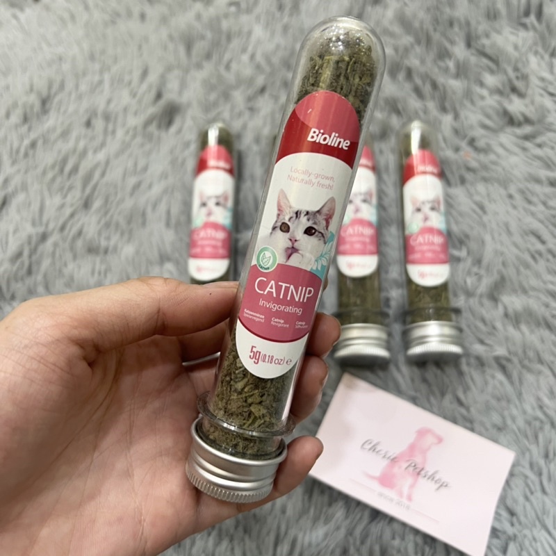 Cỏ mèo bạc hà Bioline, catnip cho mèo 5g