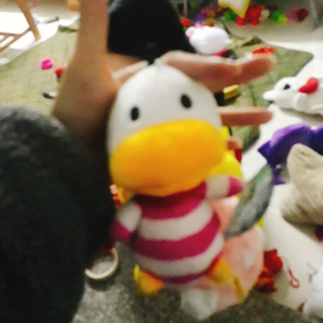 Gấu bông minh quân