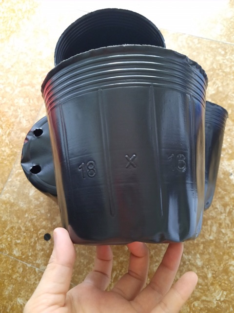 1kg chậu ươm cây chọn size