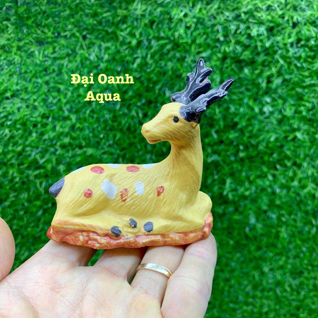 Tiểu cảnh trang trí hồ cá, bể cá, chậu cây, hòn non bộ, sân vườn