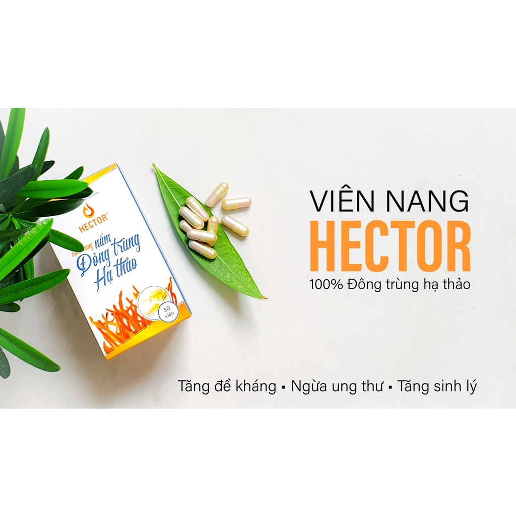 Đông trùng hạ thảo Hector- Viên nang- Tăng đề kháng, tăng sinh lý