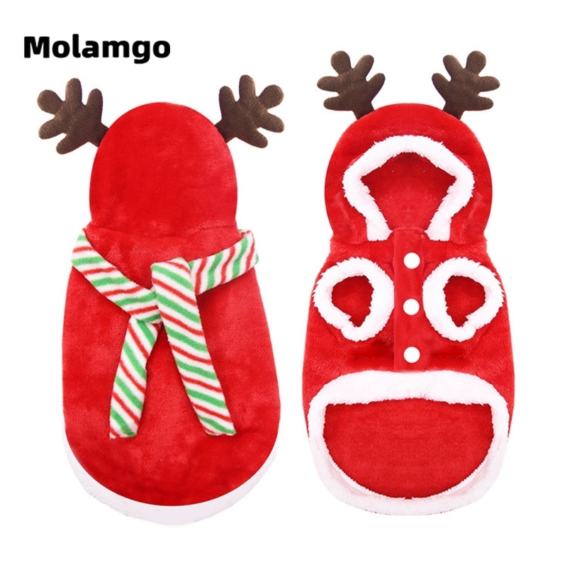 Trang phục Giáng Sinh dễ thương cho thú cưng