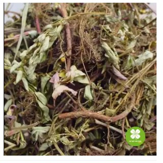 Diệp hạ châu - vtt038