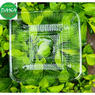 Khay trung thu số 8 - 100g gồm 50 khay