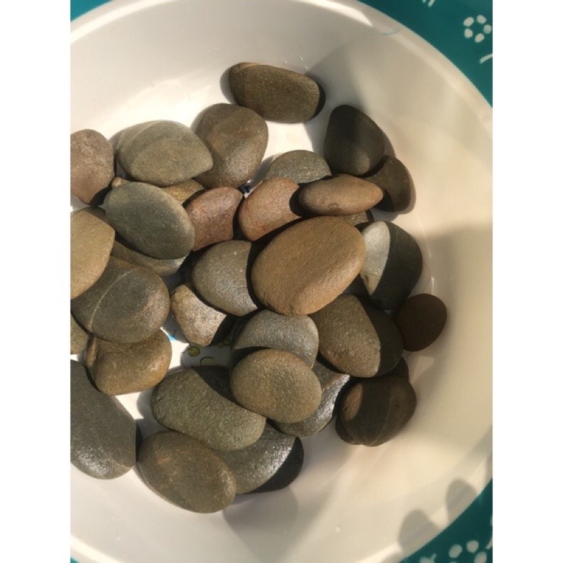 1kg Đá Cuội Dùng Để Vẽ Tranh Đá Nhiều Size 2cm, 3cm, 4cm, 5cm