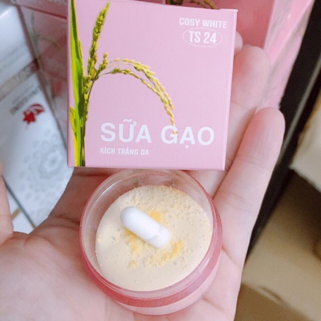 Kích trắng B10 sữa gạo