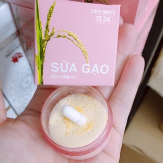 Kích trắng B10 sữa gạo