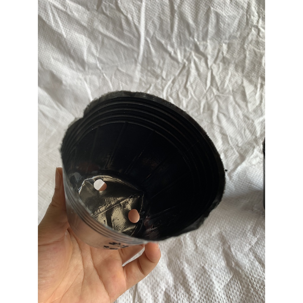 BẦU ƯƠM CÂY 10*10 ( DỊCH TRUYỀN CHO CÂY, KÍCH RỄ , MẦM CÂY XANH LÁ, LƯỚI CHE NẮNG...)