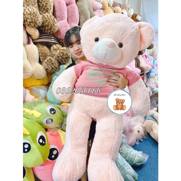 Gấu Bông Teddy Mặc Áo I Love U Cao Cấp - Gấu Bông Mina