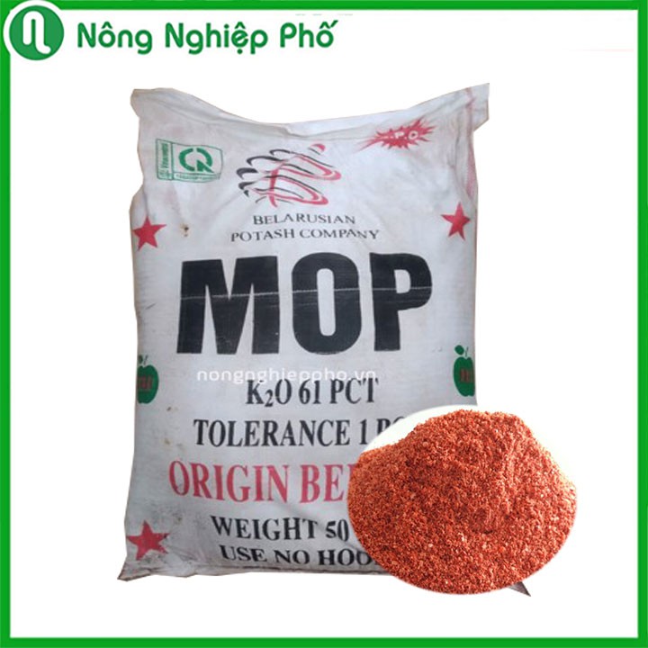 Phân Bón Kali MOP Giúp Tăng Hương Vị, Thịt Quả Chắc, Trái Sáng Bóng, Hoa Nở Đều Sáng Màu Túi 1 Kg