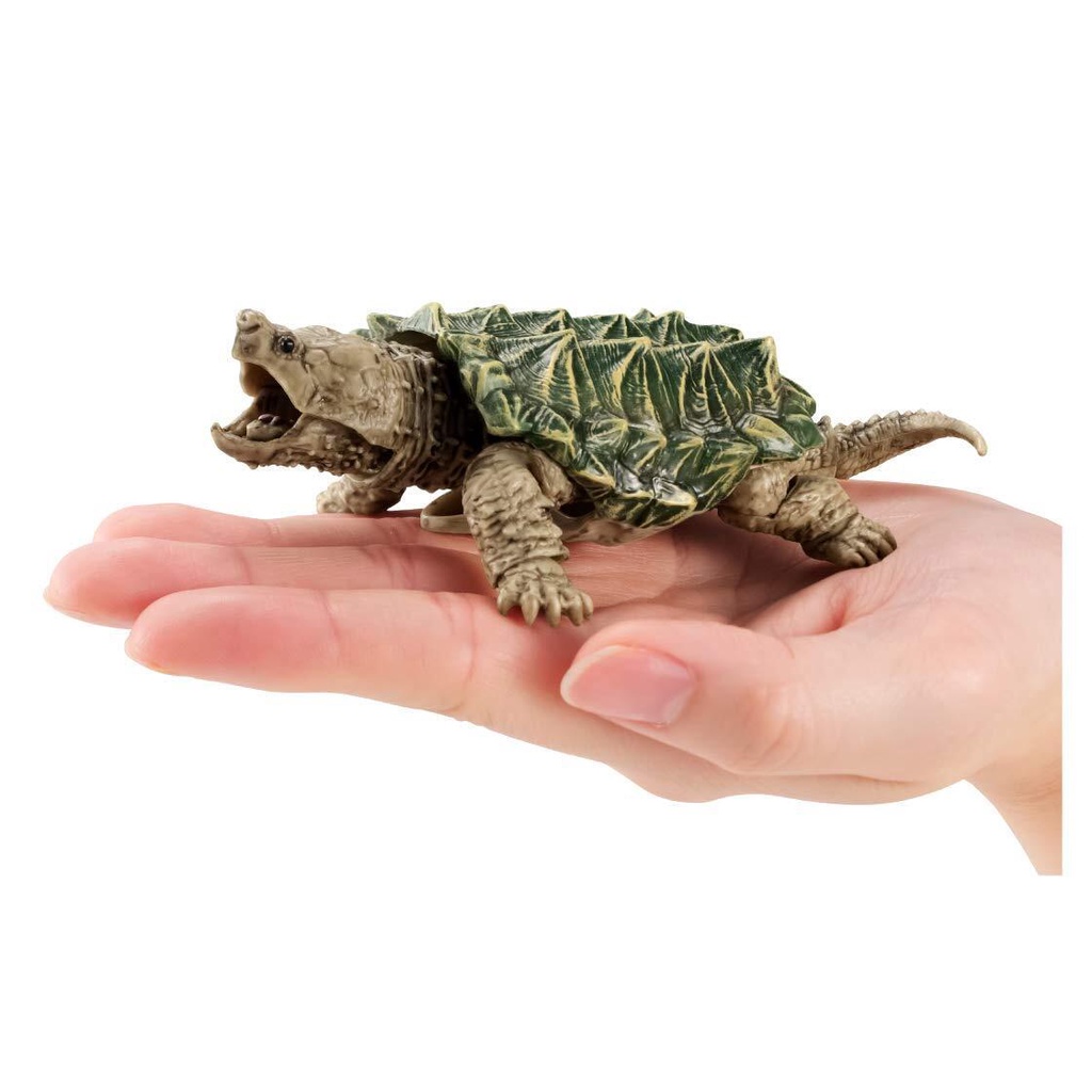 Mô hình rùa BANDAI Rùa Cá Sấu kích thước lớn