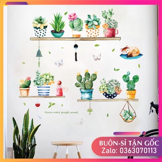 Decal dán tường cho bé hình những chậu xương rồng đẹp mắt