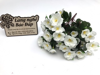 Combo 5 cành đỗ quyên