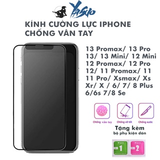 Cường lực iphone nhám chống vân tay 14 pro max 13 Promax 6 6s Plus 7 Plus 8 Plus X Xs Xsmax 11 Promax 12 Promax