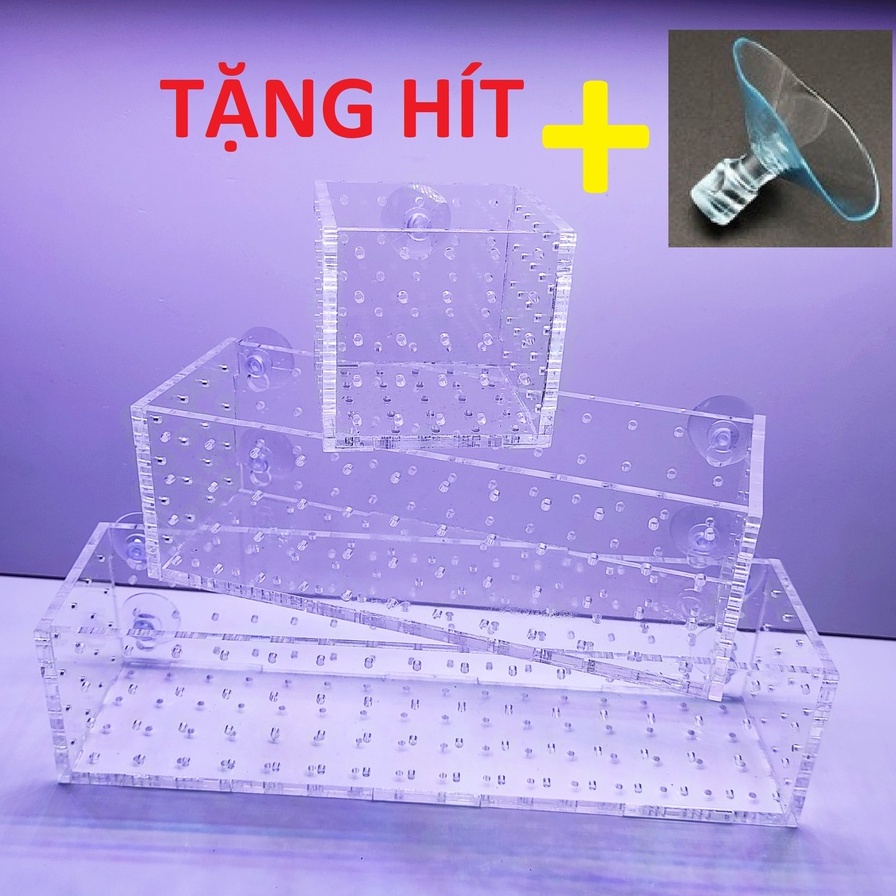 Cốc Trồng Cây Thủy Sinh Mica Trong Suốt | Box Acrylic Ươm Cây