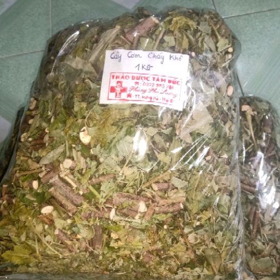 1kg cây cơm cháy khô