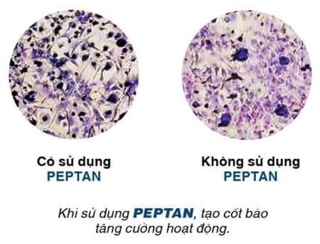 Jex max  (hàng chính hãng USA)