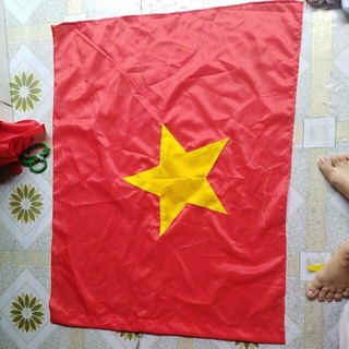 Cờ việt nam
