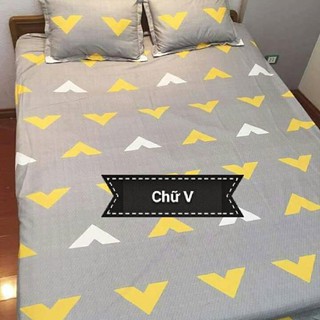 Cotton Poly Mềm mịn