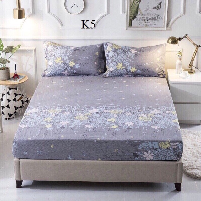 Combo sỉ 5 ga chống thấm Cotton 1.6x2m phủ nano cao cấp