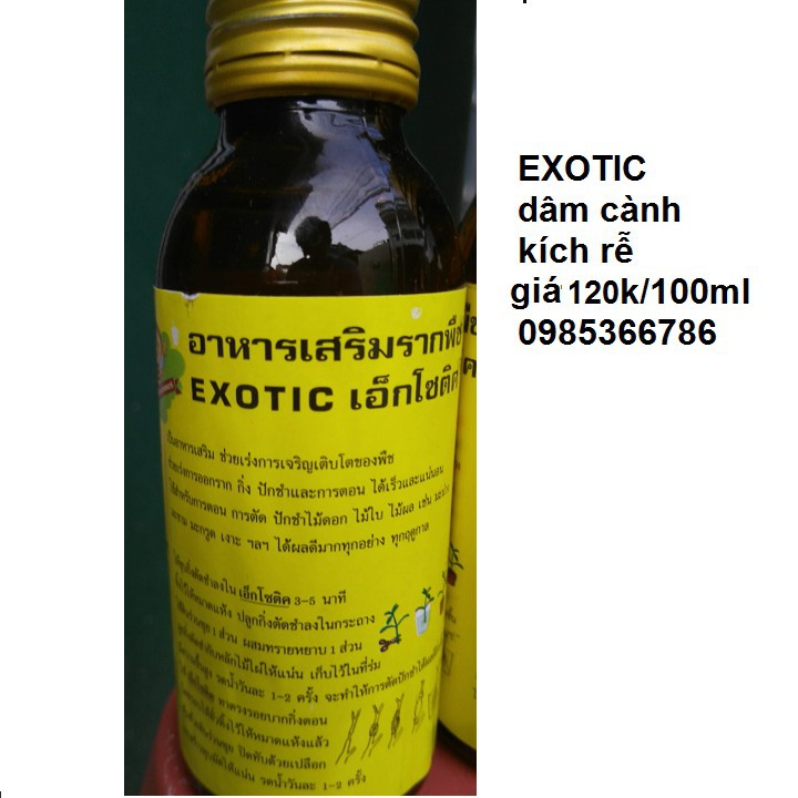 Thuốc Kích rễ cây Exotic nhập khẩu-  chuyên dụng.