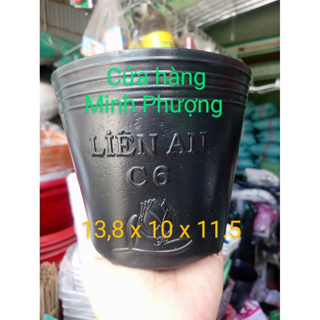 Chậu nhựa đen C6 (50 cái)