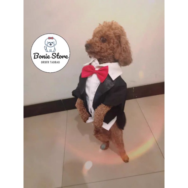 Áo Vest Cho Chó Mèo Thú Cưng, Áo Chú Rể Cho Chó Mèo, Sơ Mi Đính Nơ Cổ Chó Chó Mèo Đực