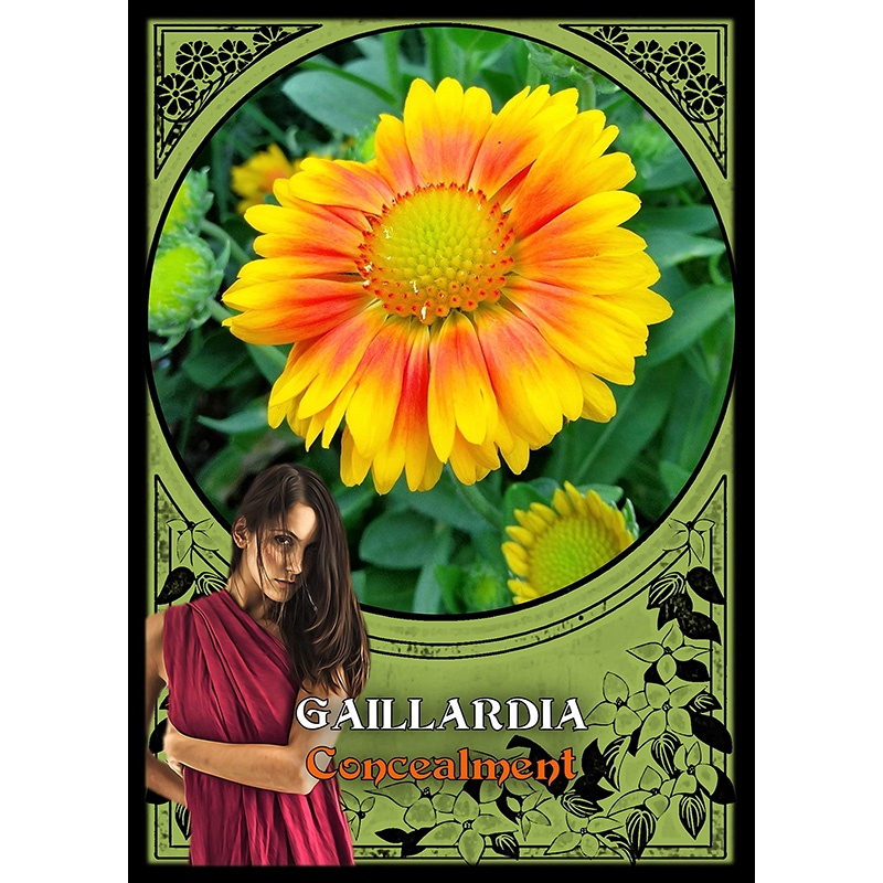 Bộ Bài Flower Magic Oracle Cards (Mystic House Tarot Shop) - Bài Gốc Authentic Chính Hãng 100%