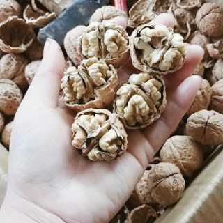 Combo gồm óc chó và hạnh nhân