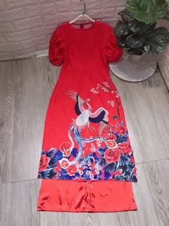 Áo dài gấm