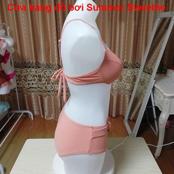 Áo tắm bikini gợi cảm của phụ nữ ngực nhỏ màu hồng Hàn Quốc tập hợp chia tam giác mỏng