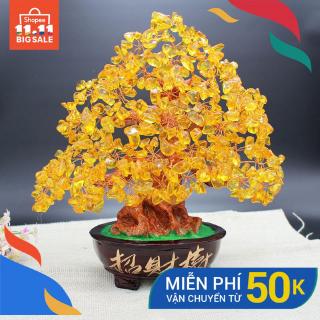 Mô hình cây tiền tài vàng đồng cầu may mắn dùng làm quà cưới/trang trí phòng khách