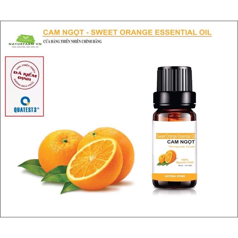 [ 10ML ] Tinh Dầu Cam Ngọt Nguyên Chất Organic - Sweet Orange Essential Oil