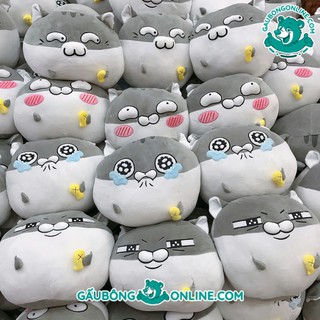 Gối Mèo Ami Nhiều Biểu Cảm Siêu Cute