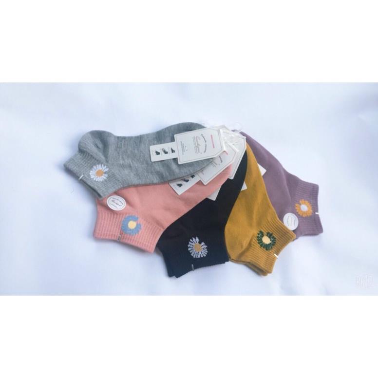 Set 10 Đôi Tất Hoa Cúc Loại Đẹp