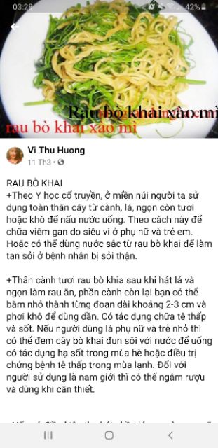 Com bo 10 cây rau bò khai(xem mô tả để biết chi tiết )