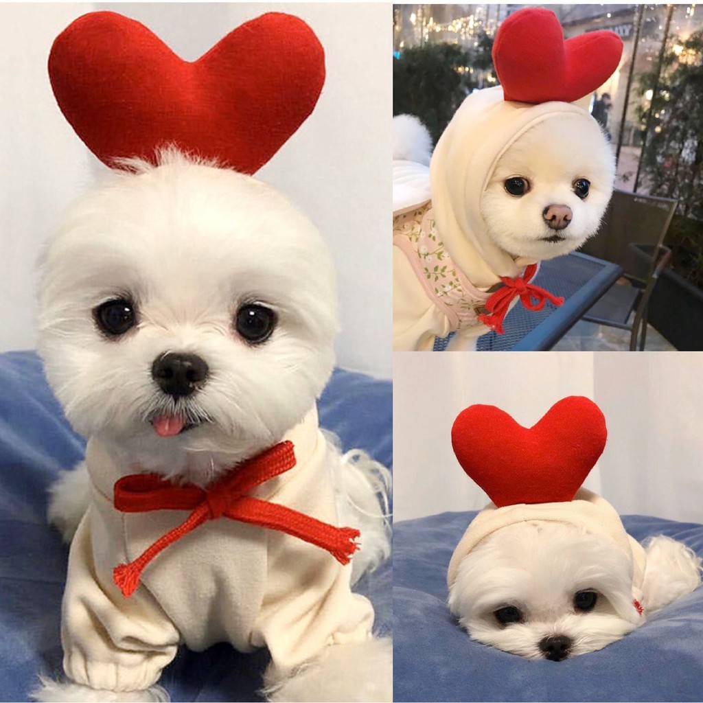 Quần Áo Thú Cưng, Áo Cho Chó Mèo, Đồ Hóa Trang Cho Các Bé, có size từ XS-XXL, A13