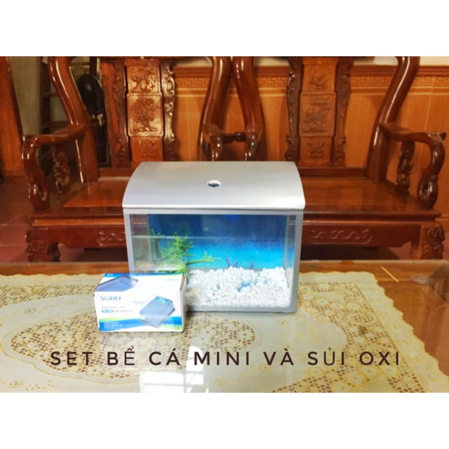 Bể cá cảnh để bàn có nắp và tranh nền / kèm phụ kiện, sỏi, cây, máy oxi trọn bộ