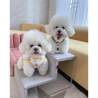 Áo Thun Chuột Dành Cho Chó Mèo