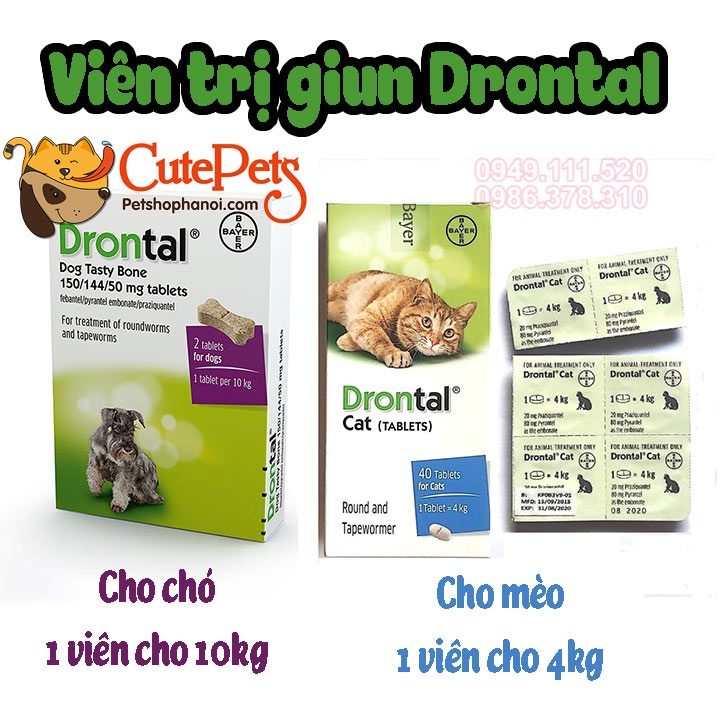 Viên nén hỗ trợ đường ruột cho chó mèo tây zun san - CutePets