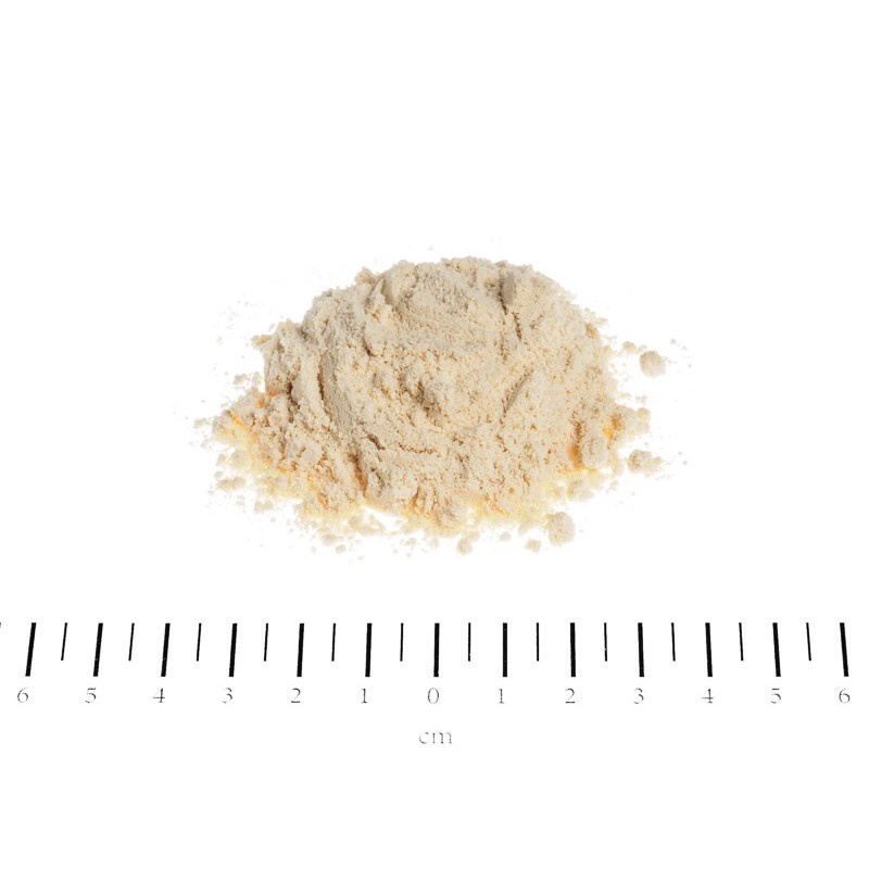 Sữa Cho Mèo Con Và Mèo Mẹ Canina Katzenmilch - Chính Hãng - Nhập Khẩu Đức